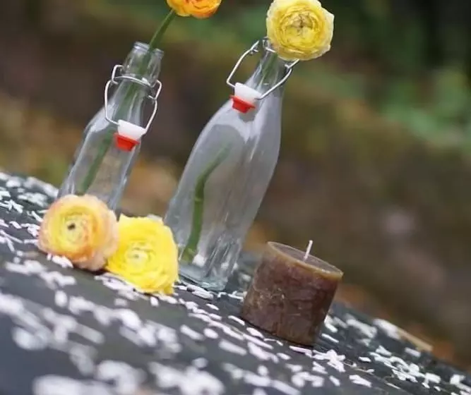 Отель Haus Kronenthal