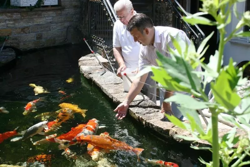 酒店 Zur Weinsteige