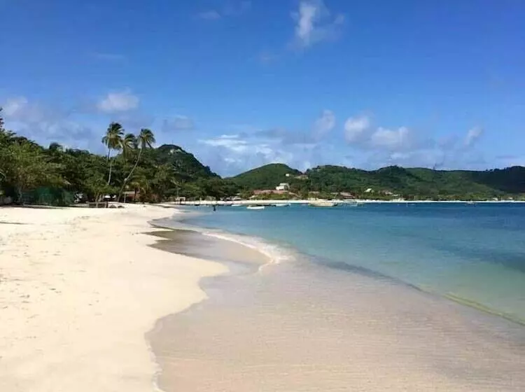 استراحتگاه Allamanda Beach