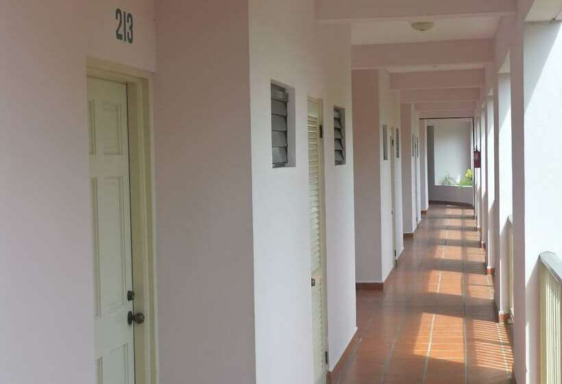 استراحتگاه Allamanda Beach