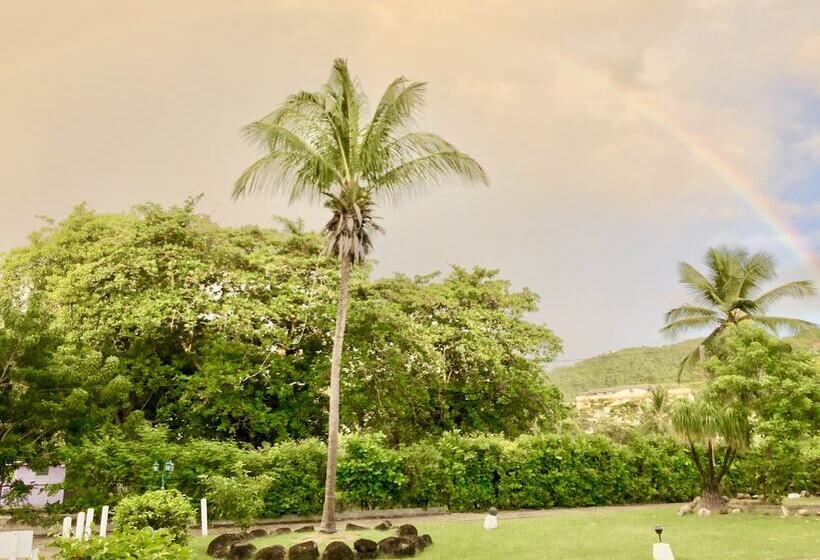 استراحتگاه Allamanda Beach