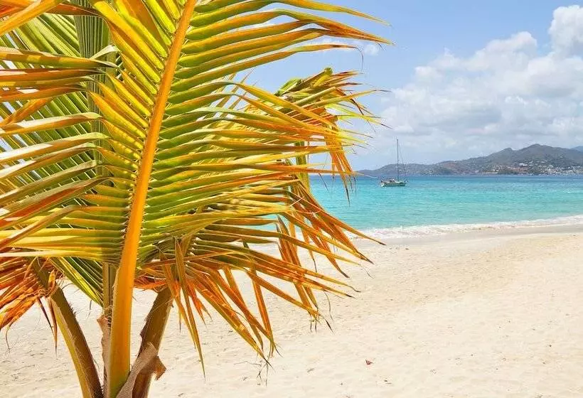 Spice Island Beach Resort All Inclusive