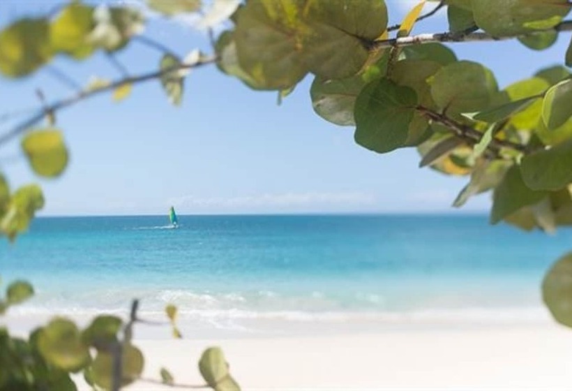 Spice Island Beach Resort All Inclusive