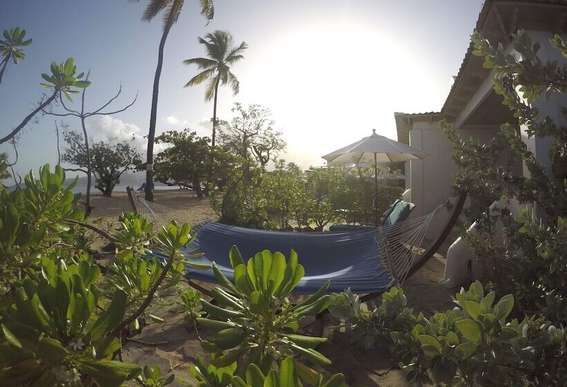 Spice Island Beach Resort All Inclusive