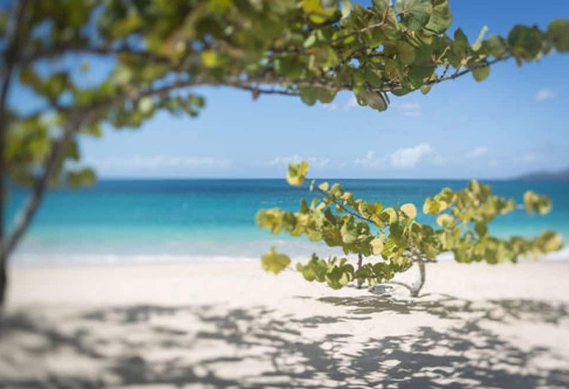 Spice Island Beach Resort All Inclusive