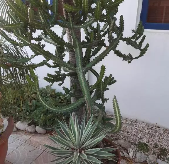 Harmony Hotel Hostel