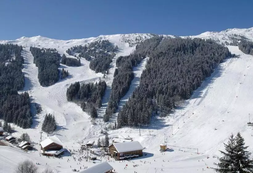 ホテル Des Alpes
