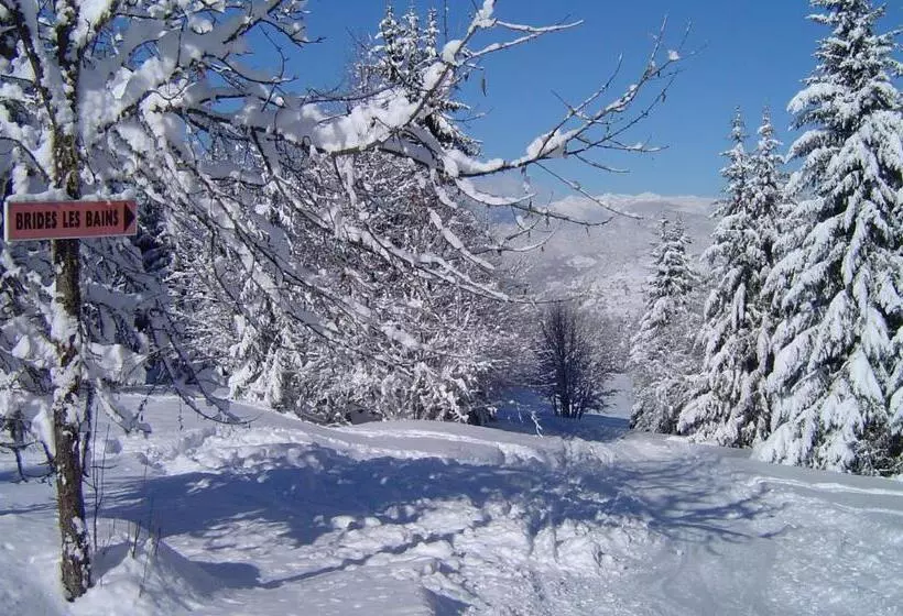 ホテル Des Alpes