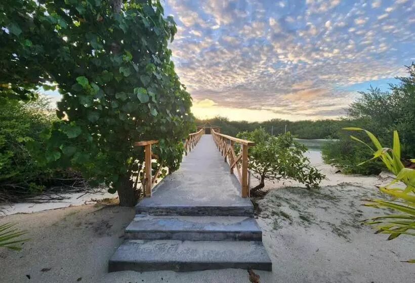 مسافرخانه Surf Deck