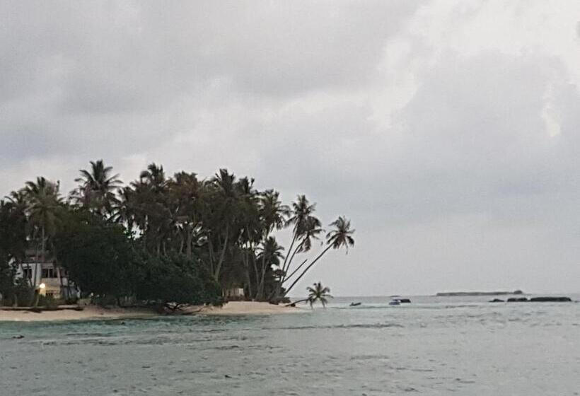 مسافرخانه Surf Deck