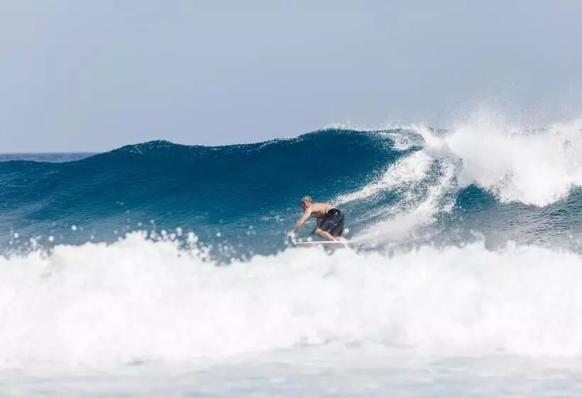 مسافرخانه Surf Deck