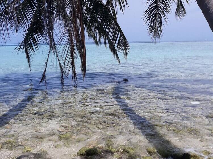 پانسیون Hibiscus Holidays