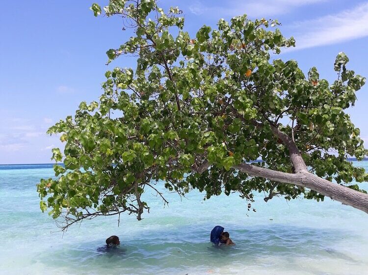 پانسیون Hibiscus Holidays