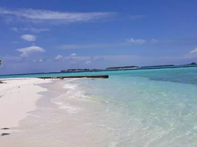 پانسیون Hibiscus Holidays