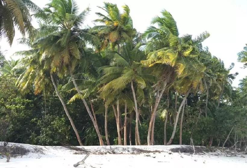 پانسیون Velana Beach Hotel Maldives