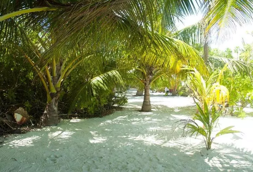 هتل Palm Garden