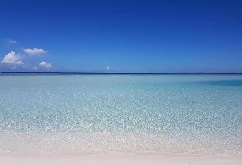 هتل Palm Garden