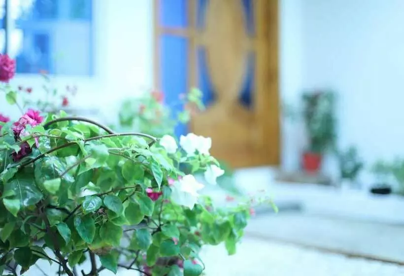 Moodhu Surf House