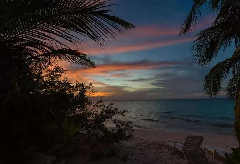 پانسیون White Sand Dhigurah
