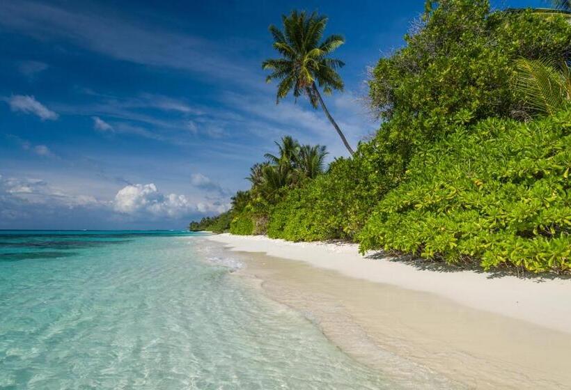 پانسیون White Sand Dhigurah