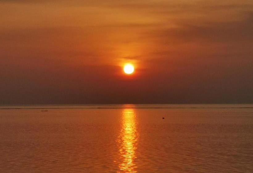 پانسیون Summer Inn Thoddoo