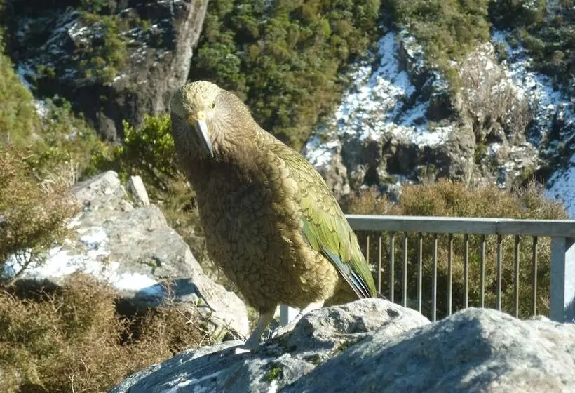 Arthur's Pass Alpine Motel