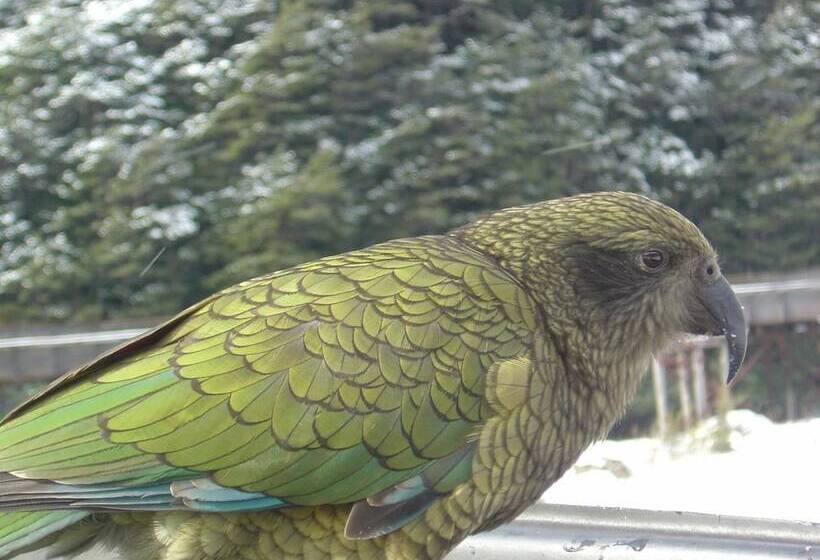 Arthur's Pass Alpine Motel