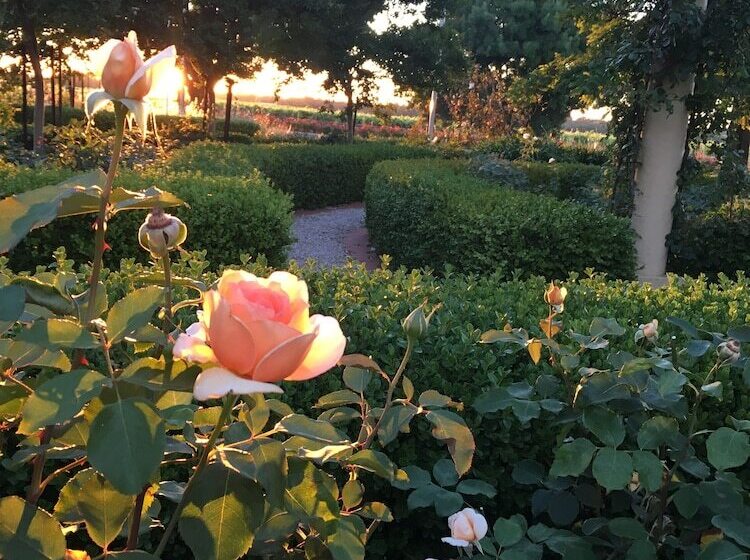 בית מלון כפרי Barossa House