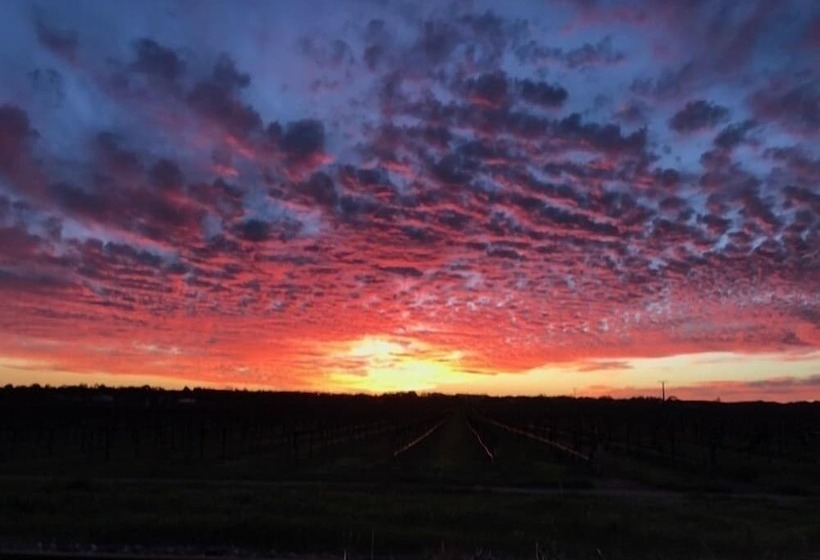 בית מלון כפרי Barossa House