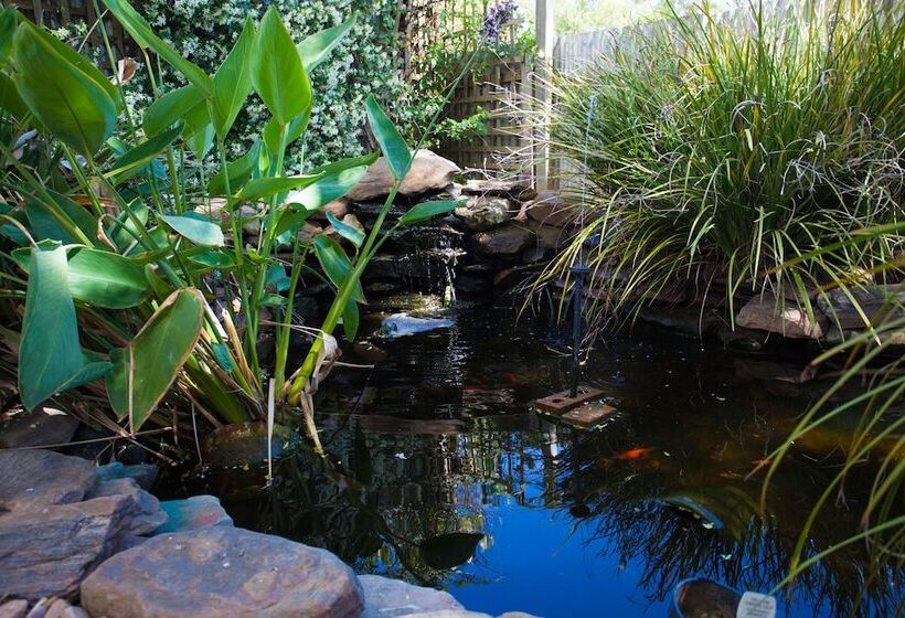 בית מלון כפרי Barossa House