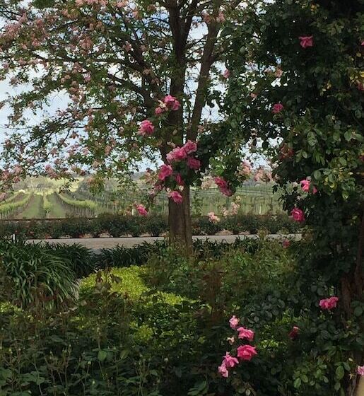 בית מלון כפרי Barossa House