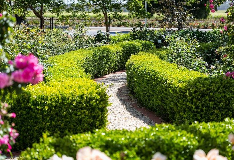 בית מלון כפרי Barossa House