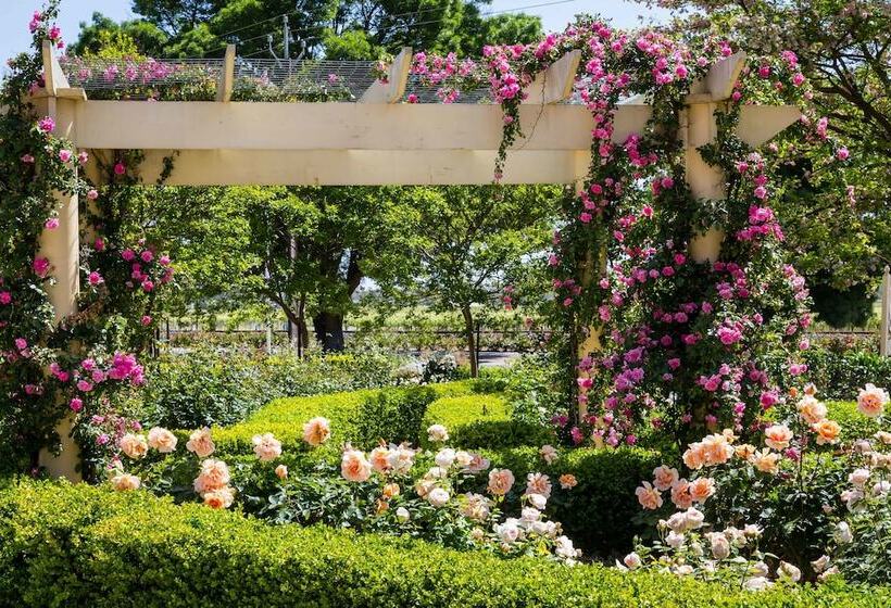 בית מלון כפרי Barossa House