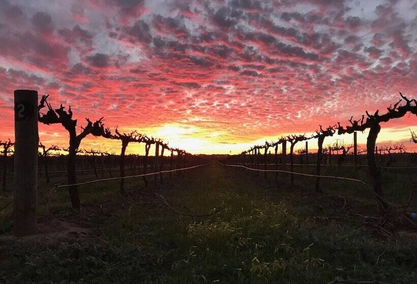 בית מלון כפרי Barossa House