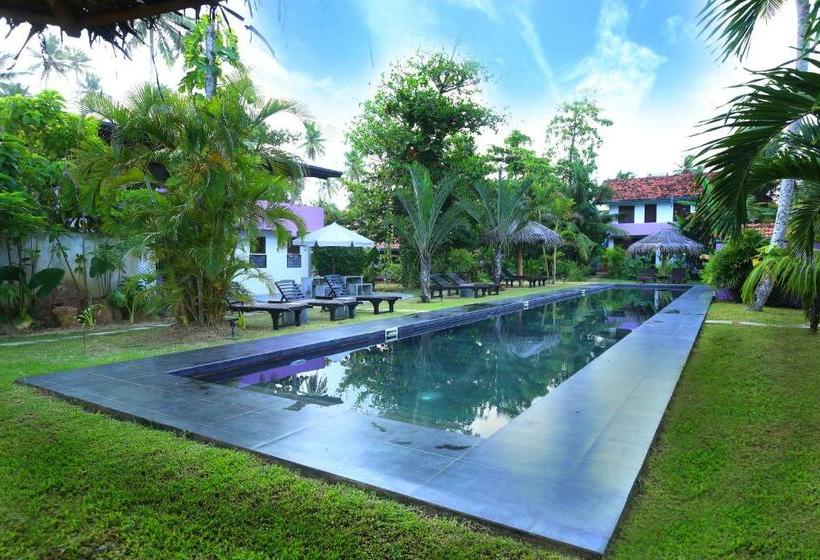 Otel Turtle Eco Beach