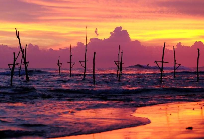 Otel Turtle Eco Beach