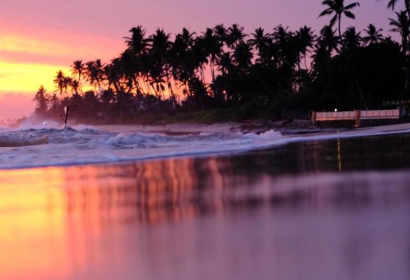 Otel Turtle Eco Beach