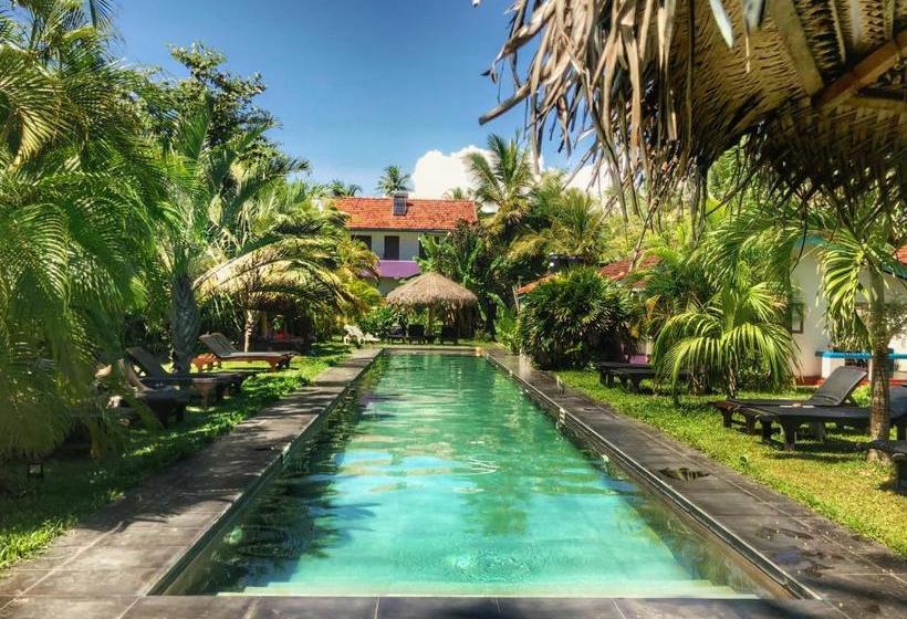 Otel Turtle Eco Beach