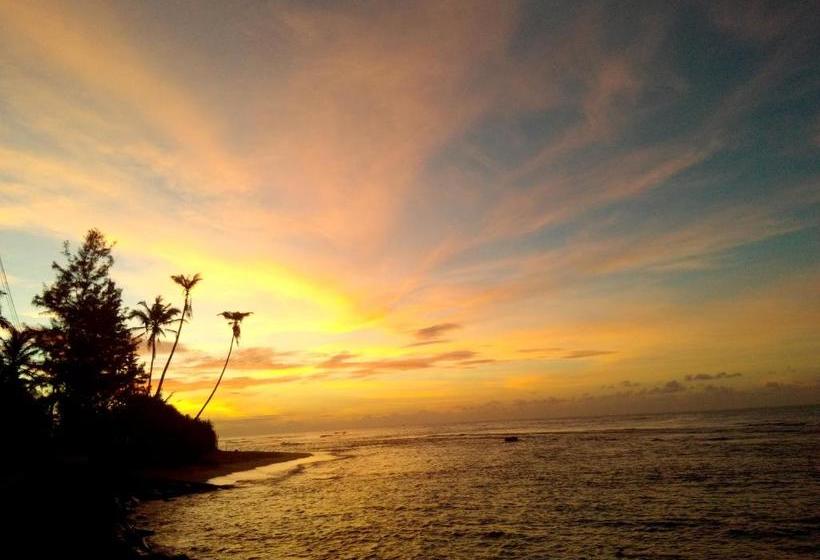 Otel Turtle Eco Beach