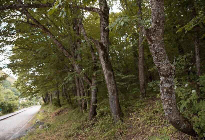 Hotel Apricot Aghveran Resort