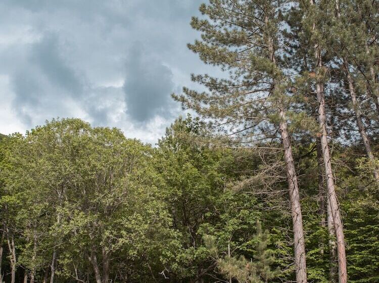 Hotel Apricot Aghveran Resort