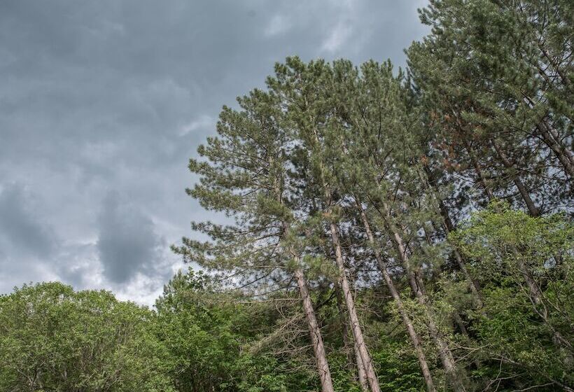 Hotel Apricot Aghveran Resort