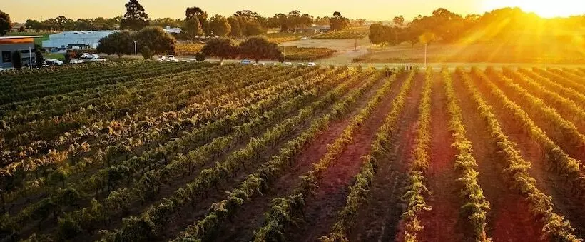 Ingot Hotel Perth, Ascend Hotel Collection