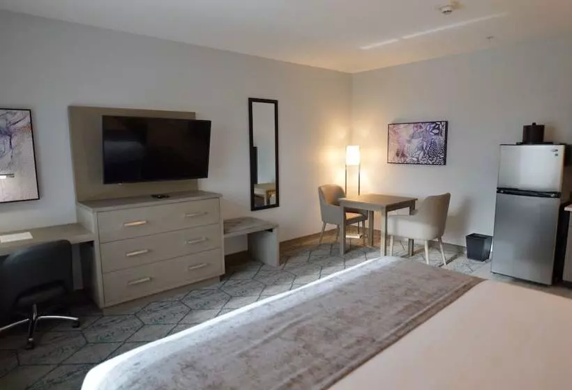 ホテル Best Western Plus Executive Residency Oklahoma City I35