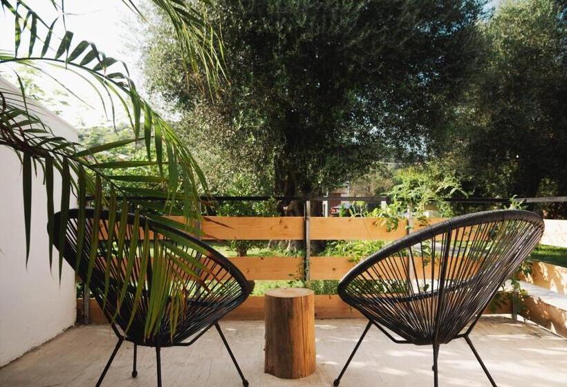 Hotel Olive Grove Suites Boutique