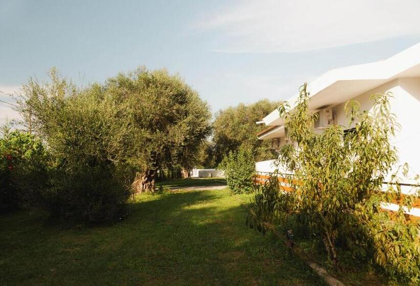 Hotel Olive Grove Suites Boutique