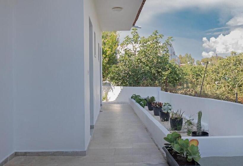 Hotel Olive Grove Suites Boutique