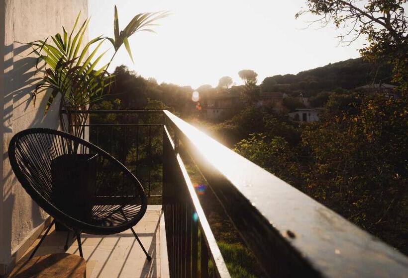 Hotel Olive Grove Suites Boutique