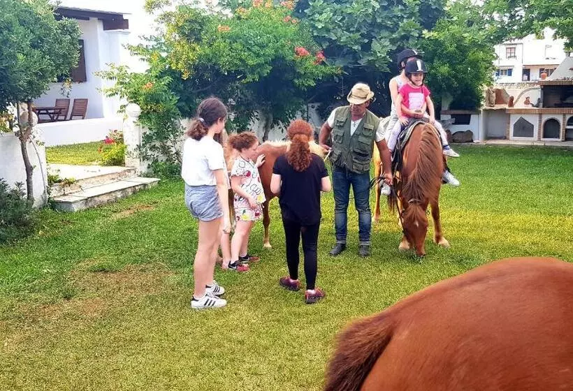 Anemonisia Deluxe Apartments & Mesonettes