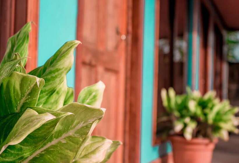 مسافرخانه Cabinas Carolina & Restaurante